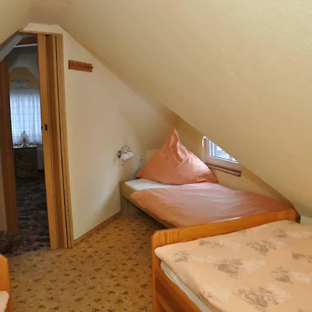 Ferienhaus Neubert Wolkenstein Extérieur photo